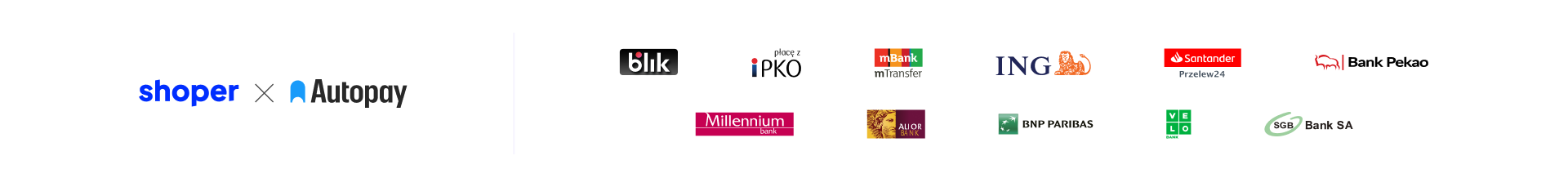 Płatności online
